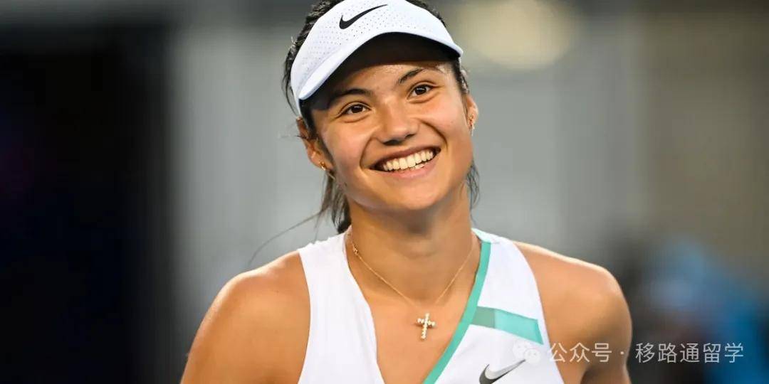 案例进行解 案例进行解