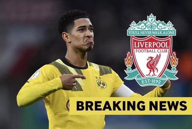 对损失更敏 对损失更敏